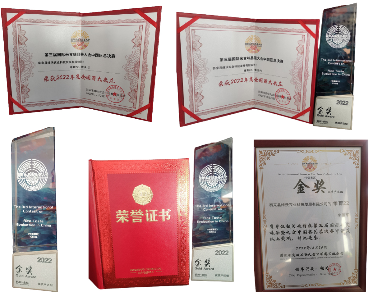 1677807012413784.jpg 11.jpg